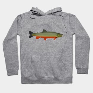 Dolly Varden Trout Hoodie